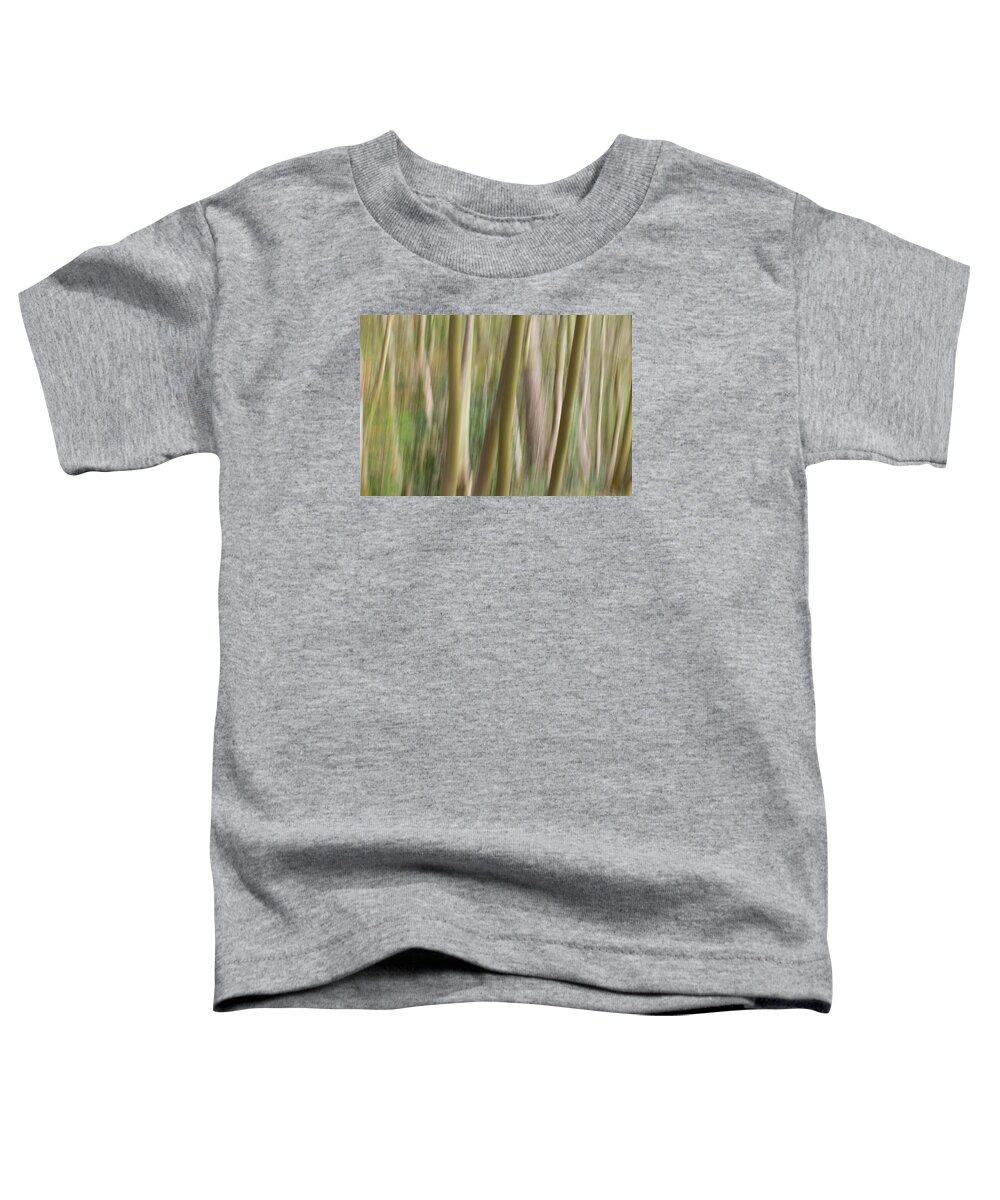 Clare Bambers Toddler T-Shirt featuring the photograph Dream Forest by Clare Bambers
