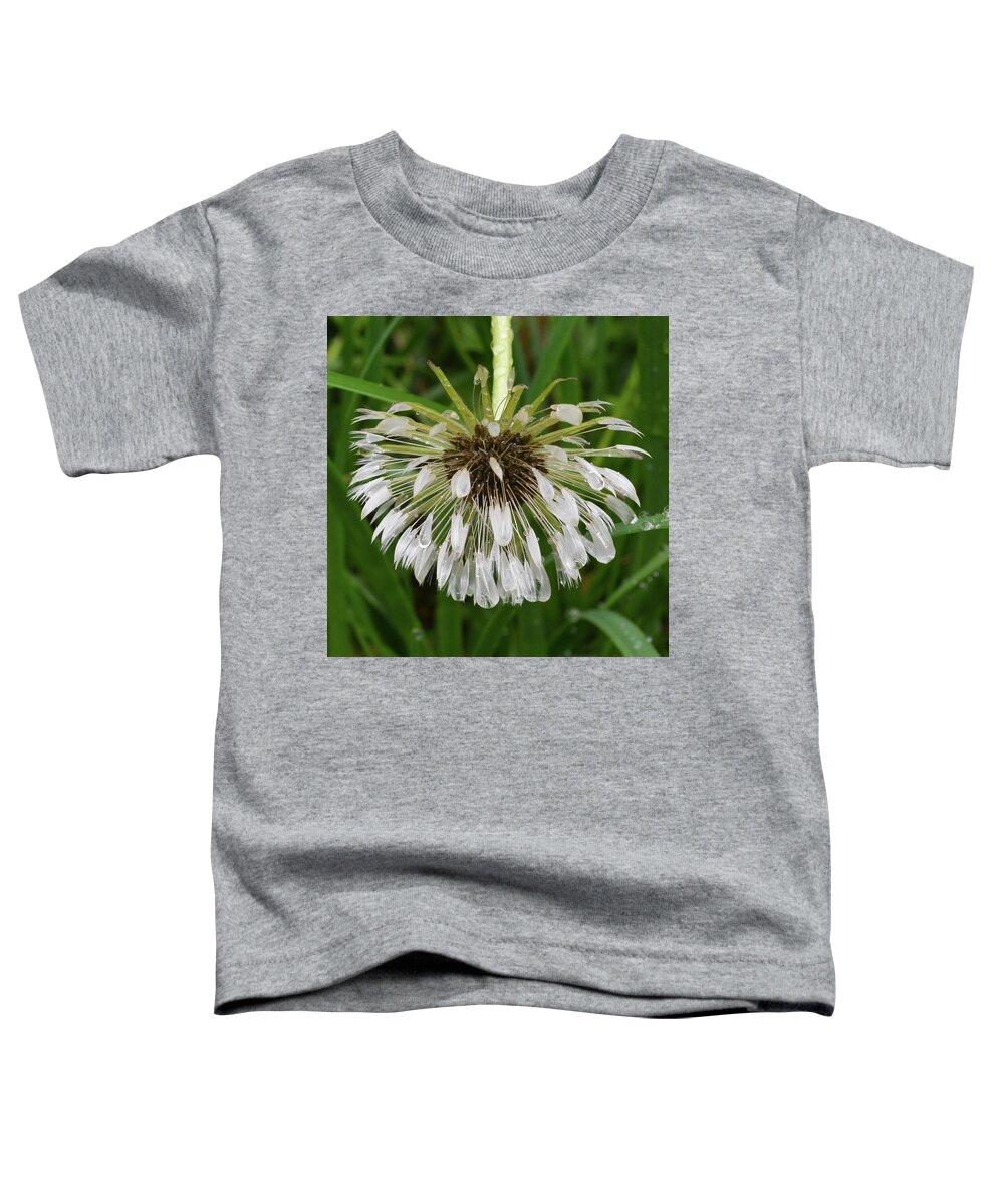 Wildflowers Toddler T-Shirt featuring the photograph Drenched Dandelion by Tana Reiff