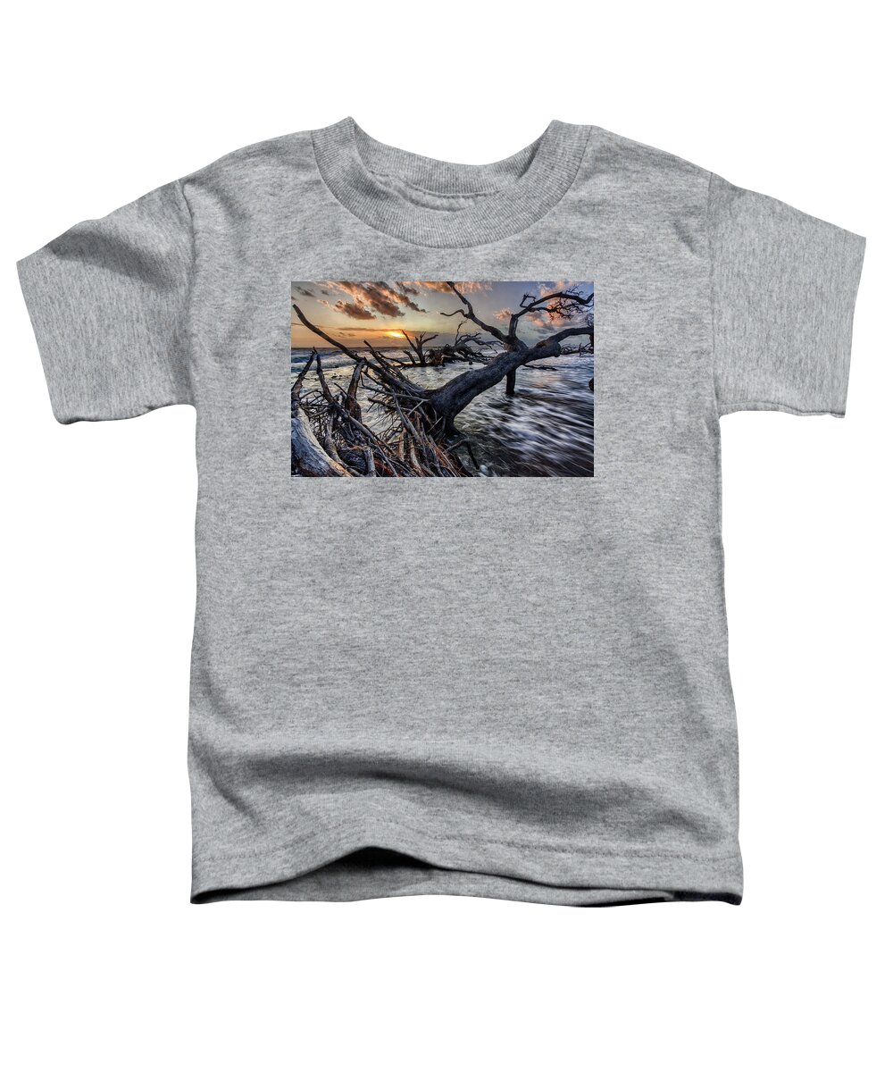 Landscape Toddler T-Shirt featuring the photograph Driftwood Beach 5 by Dillon Kalkhurst