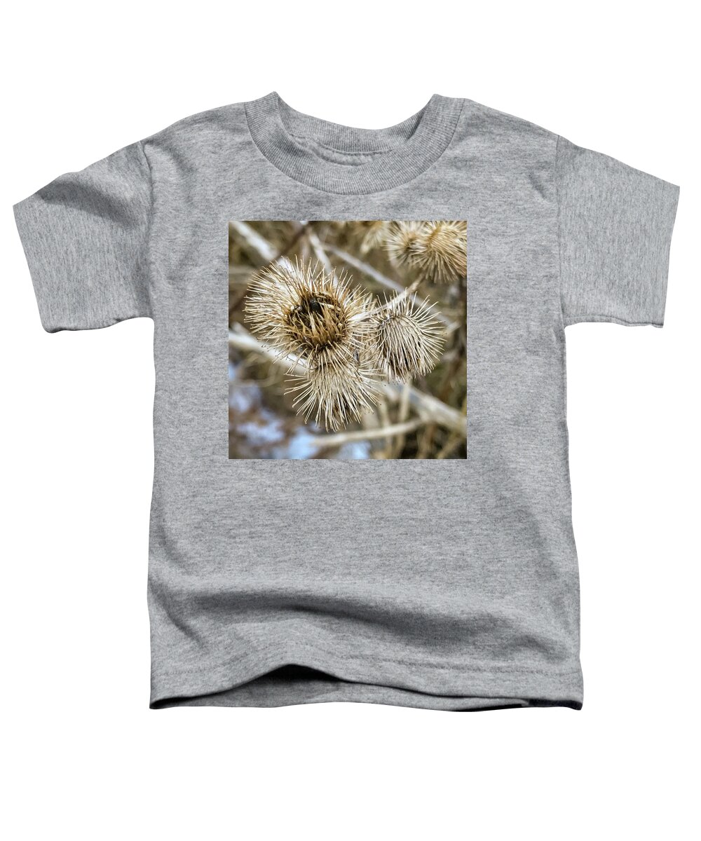 Botanical Toddler T-Shirt featuring the photograph Dry thistle buds by SAURAVphoto Online Store