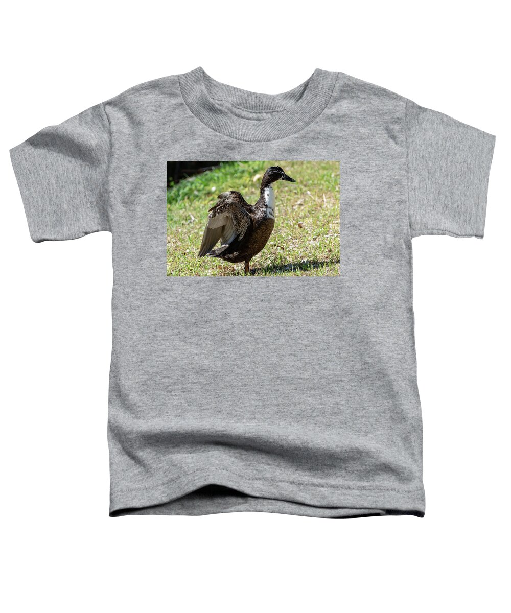 Water Toddler T-Shirt featuring the photograph Drying Off by Douglas Killourie