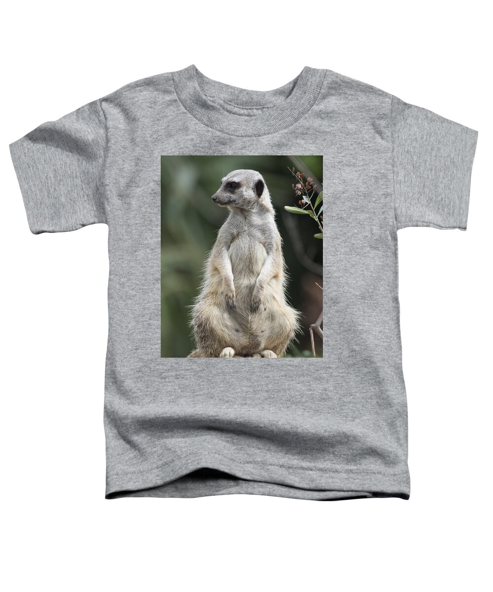 Animal Toddler T-Shirt featuring the photograph Duty by Masami Iida