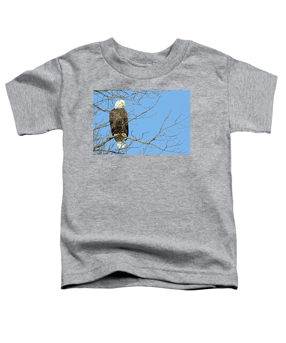 Eagle Toddler T-Shirt featuring the photograph Eagle by Brook Burling