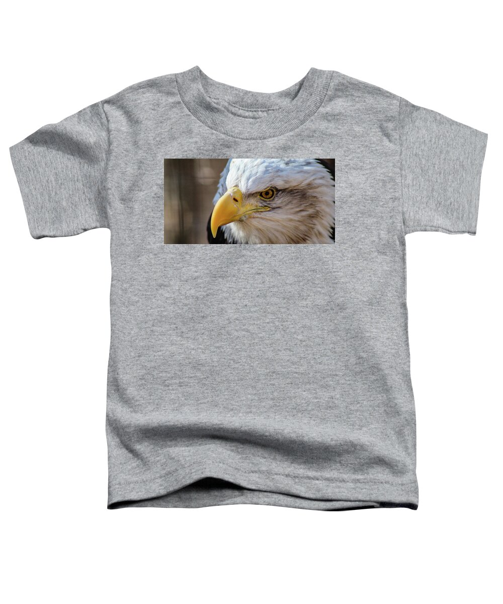 Bald Eagle Toddler T-Shirt featuring the photograph Eagle Eye by Holly Ross