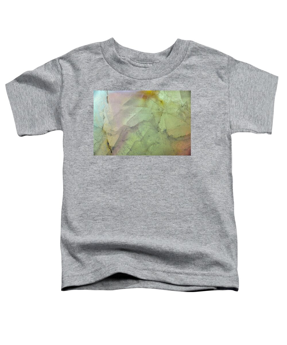 Rock Toddler T-Shirt featuring the photograph Earth Portrait 284 by David Waldrop