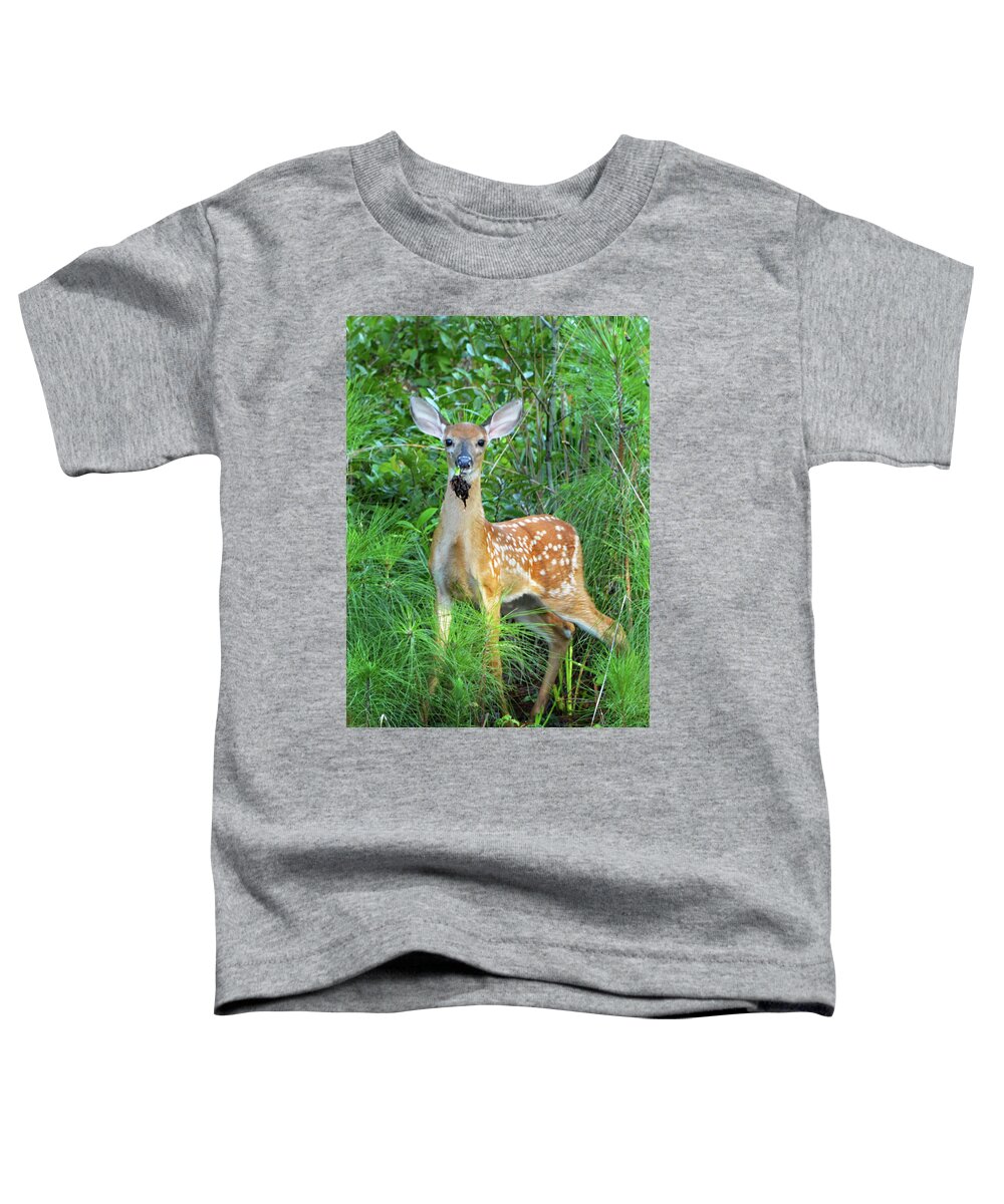 Deer Toddler T-Shirt featuring the photograph Eating by Jerry Griffin