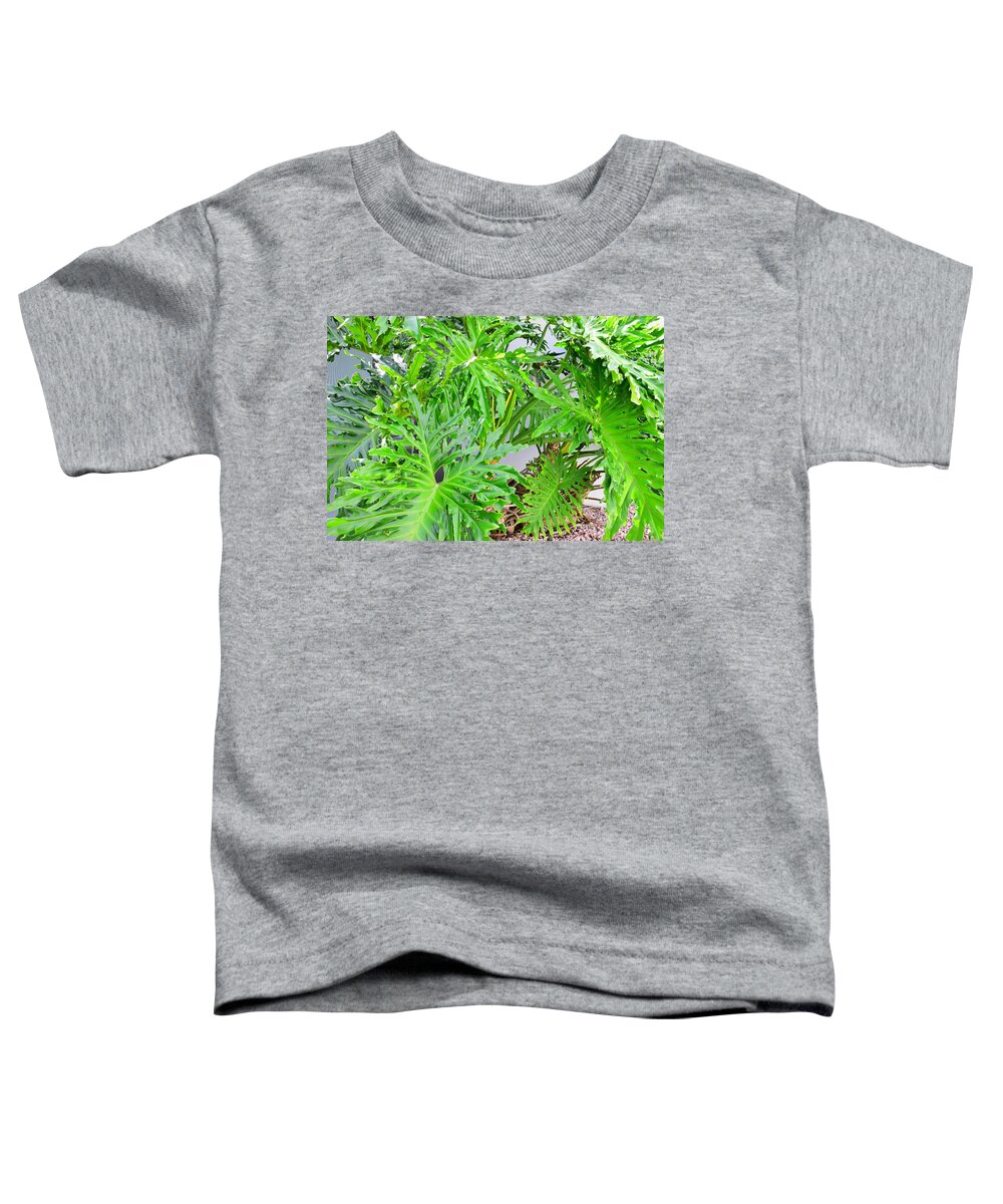 Florida Toddler T-Shirt featuring the photograph Elephant Ears by Florene Welebny