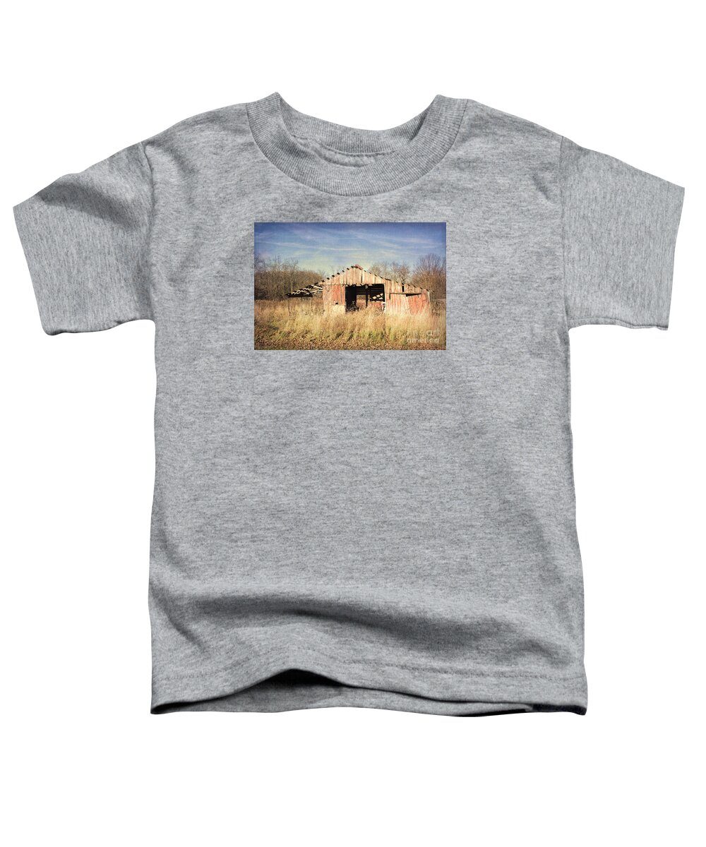 Nature Toddler T-Shirt featuring the photograph Eli's Barn by Sharon McConnell