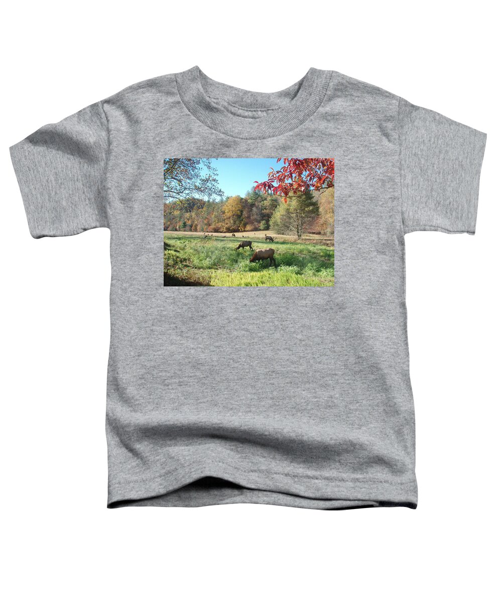 Elk Toddler T-Shirt featuring the photograph Elk in Cataloochee by Allen Nice-Webb