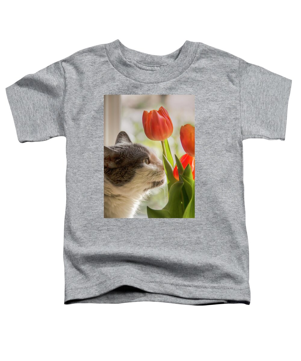 Cat Toddler T-Shirt featuring the photograph Emma's Window by Kristina Rinell