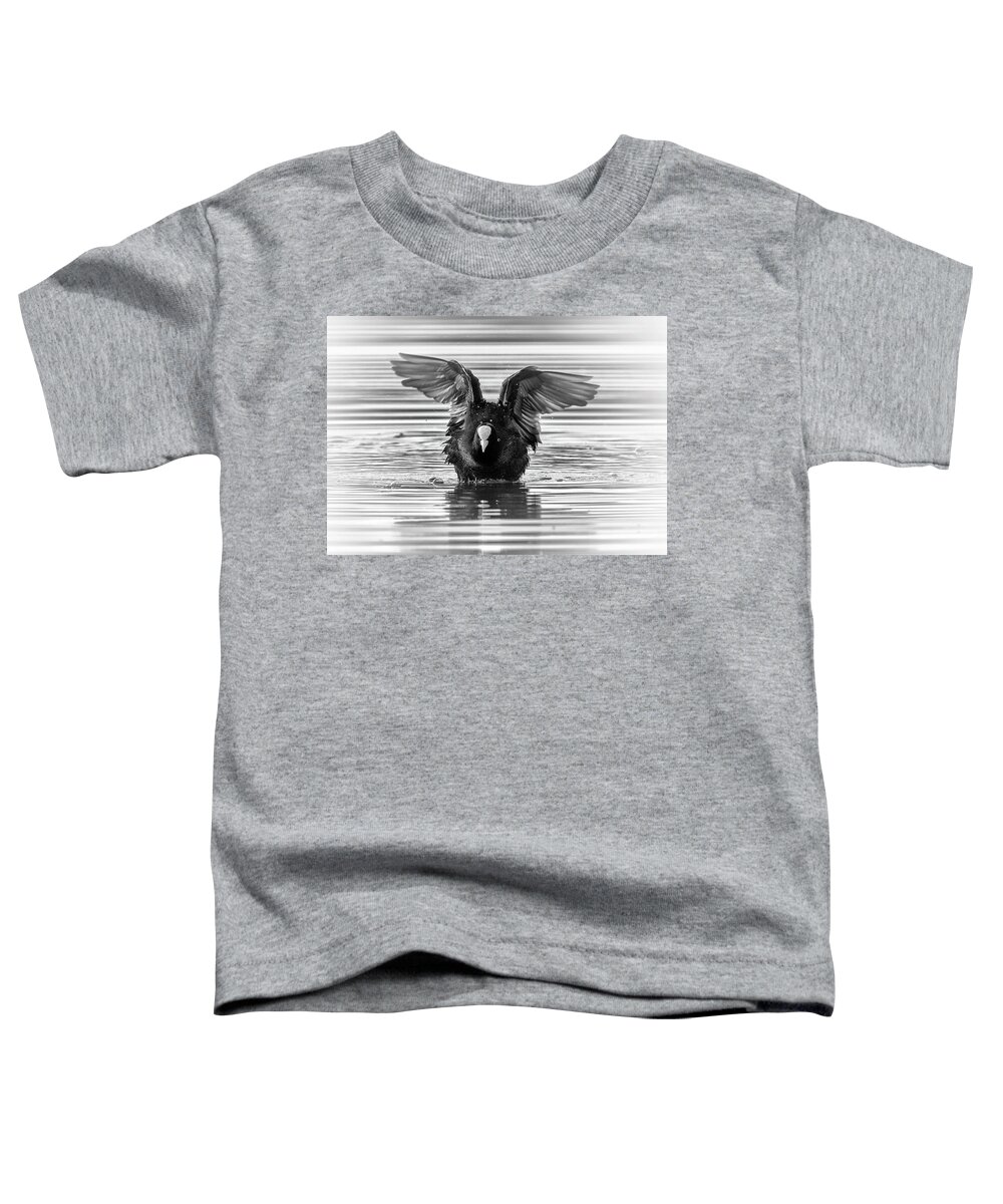 Coot Toddler T-Shirt featuring the photograph Eurasian or common coot, fulicula atra, duck by Elenarts - Elena Duvernay photo