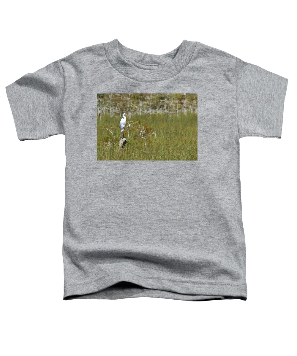Everglades National Park Toddler T-Shirt featuring the photograph Everglades 451 by Michael Fryd