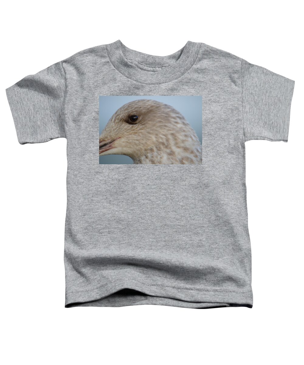 Gull Toddler T-Shirt featuring the photograph Face of Young Seagull by Adrian Wale