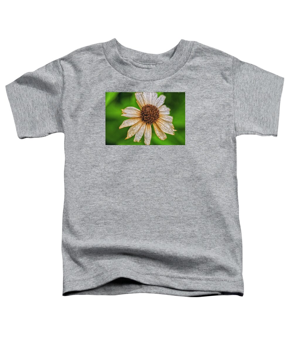 Cone Flowers Toddler T-Shirt featuring the photograph Faded Cone Flower by Tom Singleton