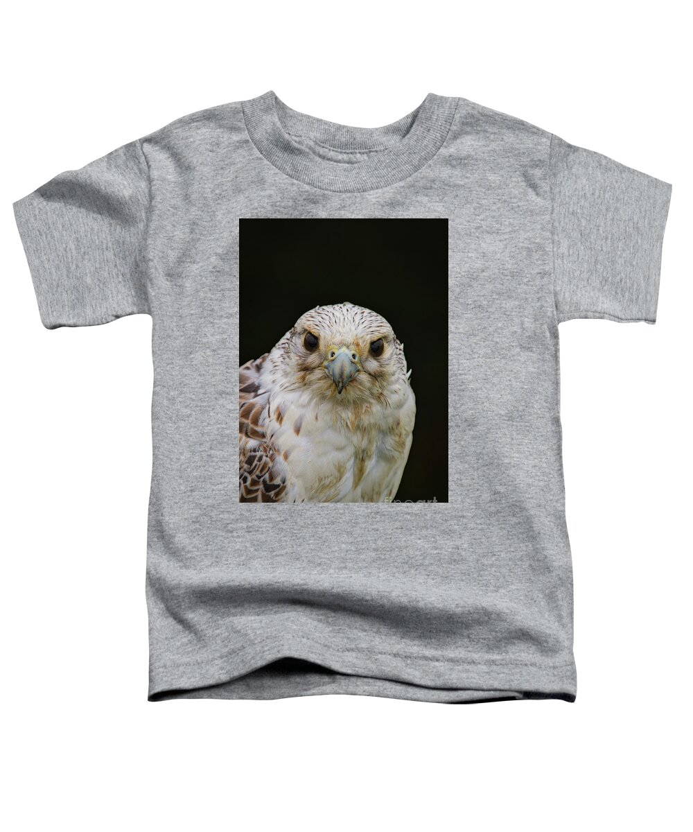 Falcon Close Up Toddler T-Shirt featuring the photograph Falcon Close Up by Mitch Shindelbower