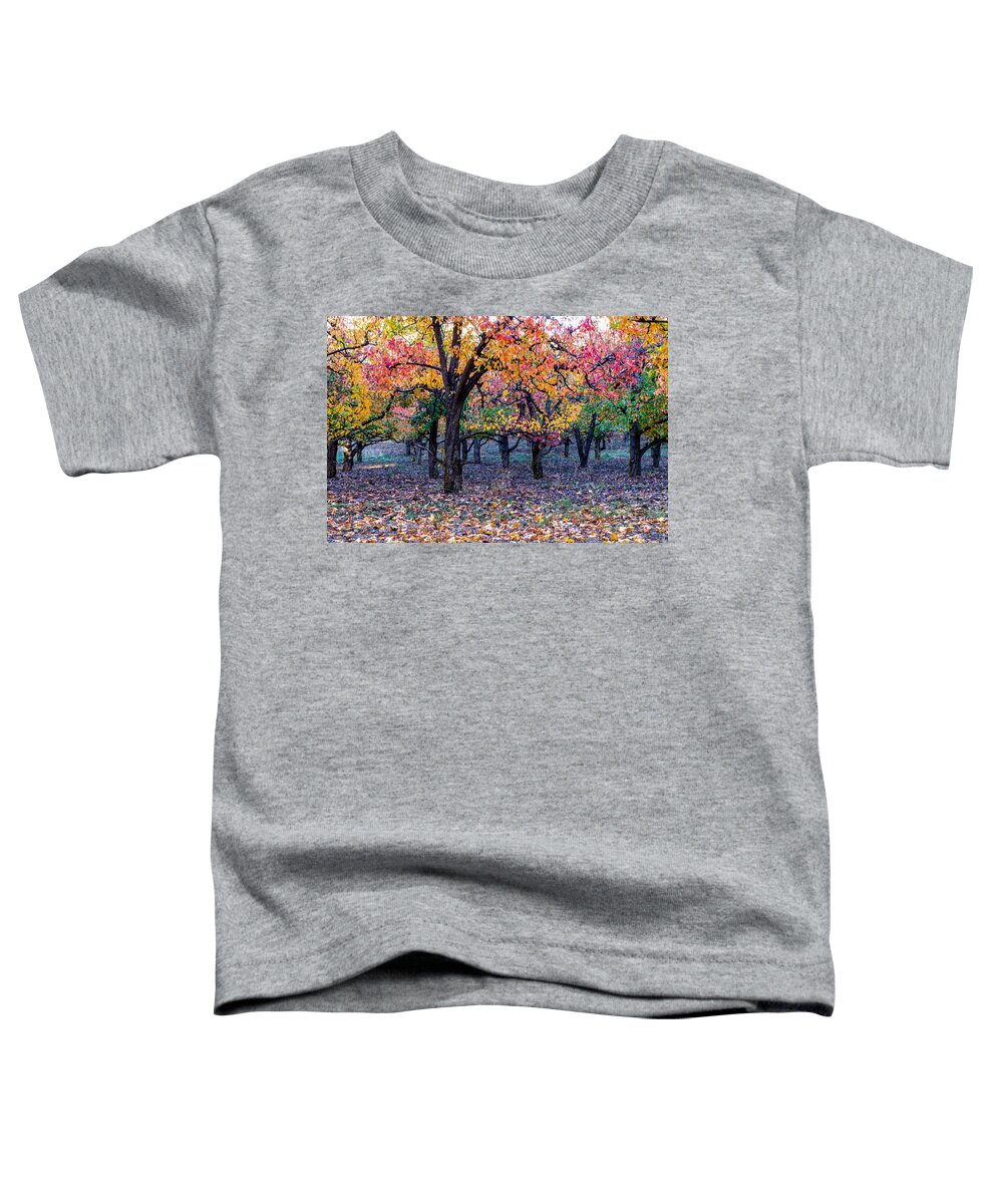 Landscape Toddler T-Shirt featuring the photograph Fall color in Orchard by Hisao Mogi