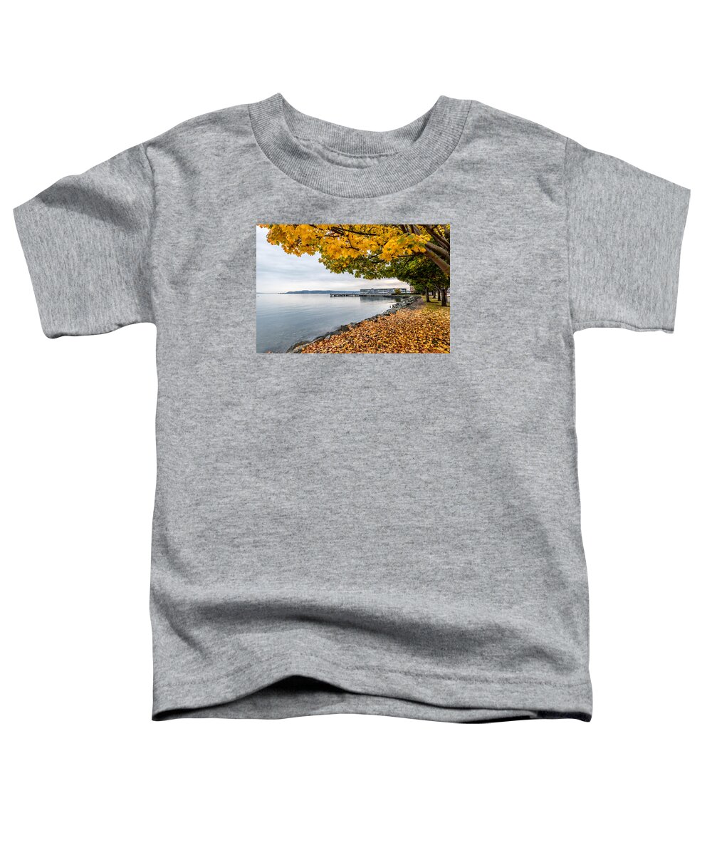 Fall Toddler T-Shirt featuring the photograph Fall Colors Framing Commencement Bay by Rob Green
