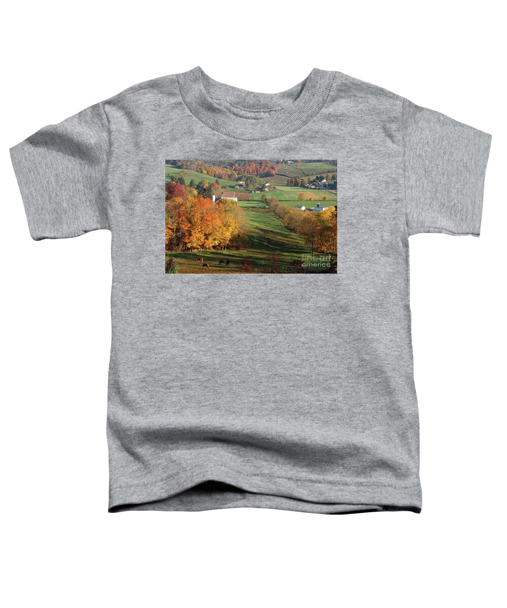 Amish Country Toddler T-Shirt featuring the photograph Fall in Amish Country 5799 by Jack Schultz