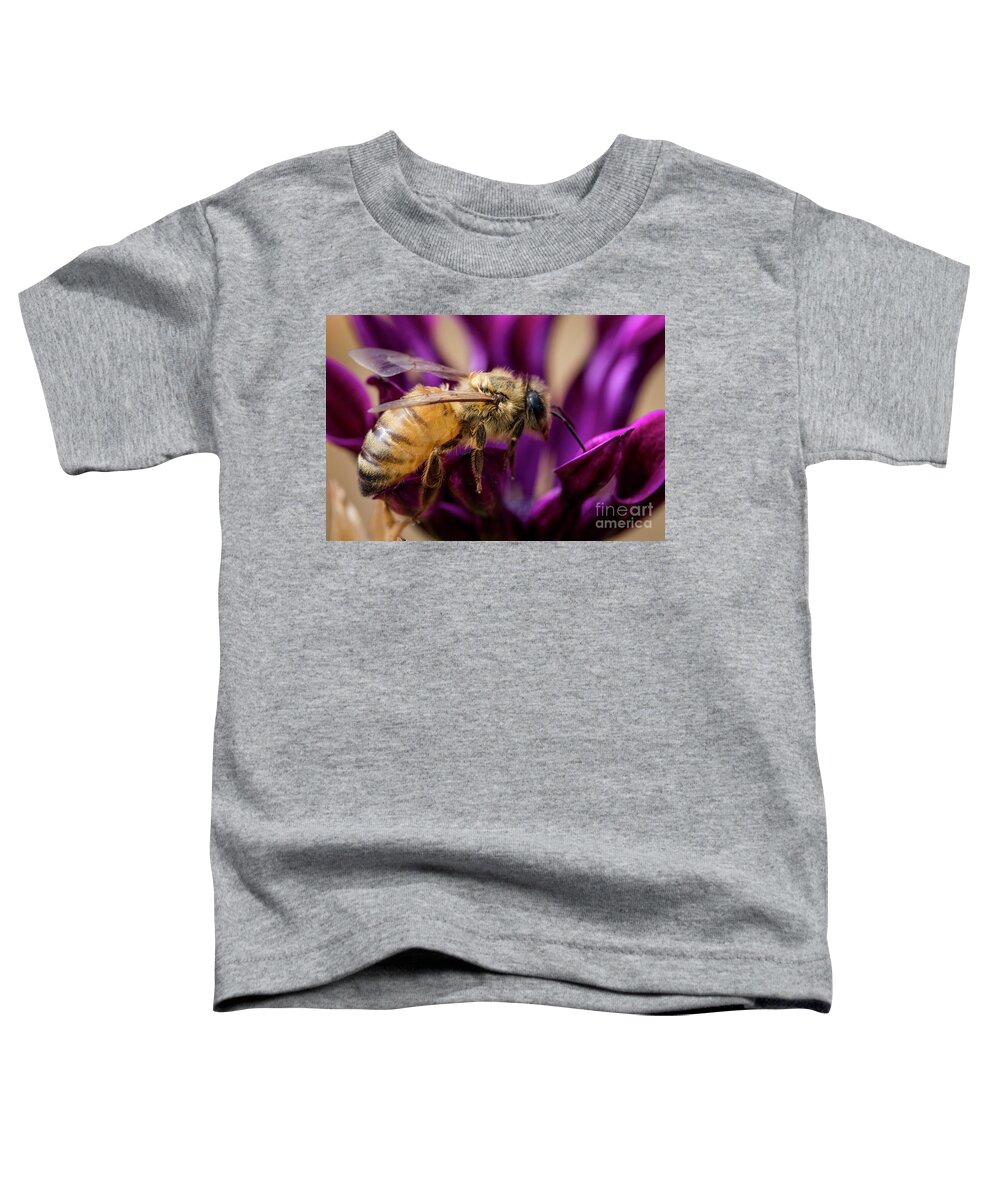 Bee Toddler T-Shirt featuring the photograph Feeding in the Crown by Shawn Jeffries