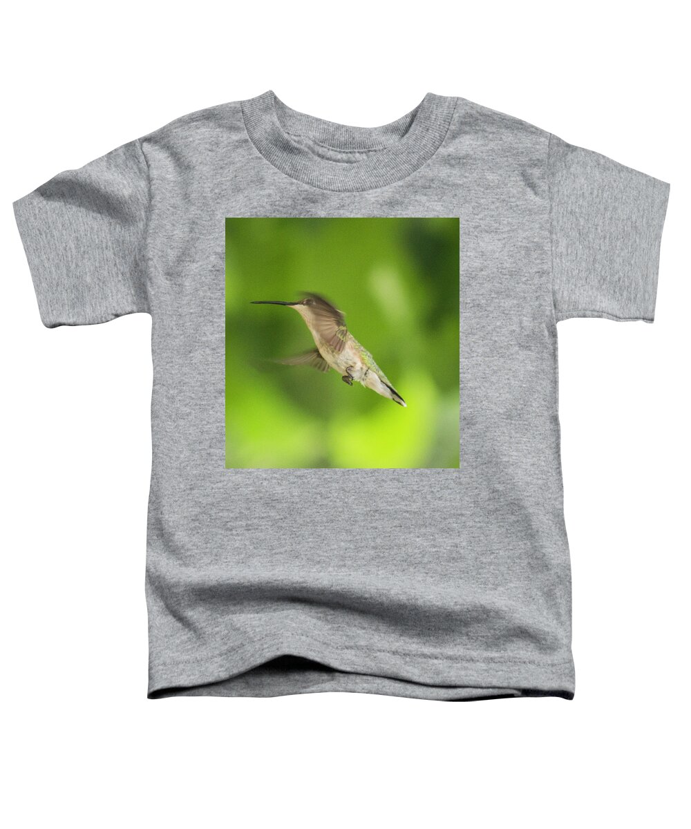 Female Toddler T-Shirt featuring the photograph Female Ruby-Throated Hummingbird in flight 3 by Constantine Gregory