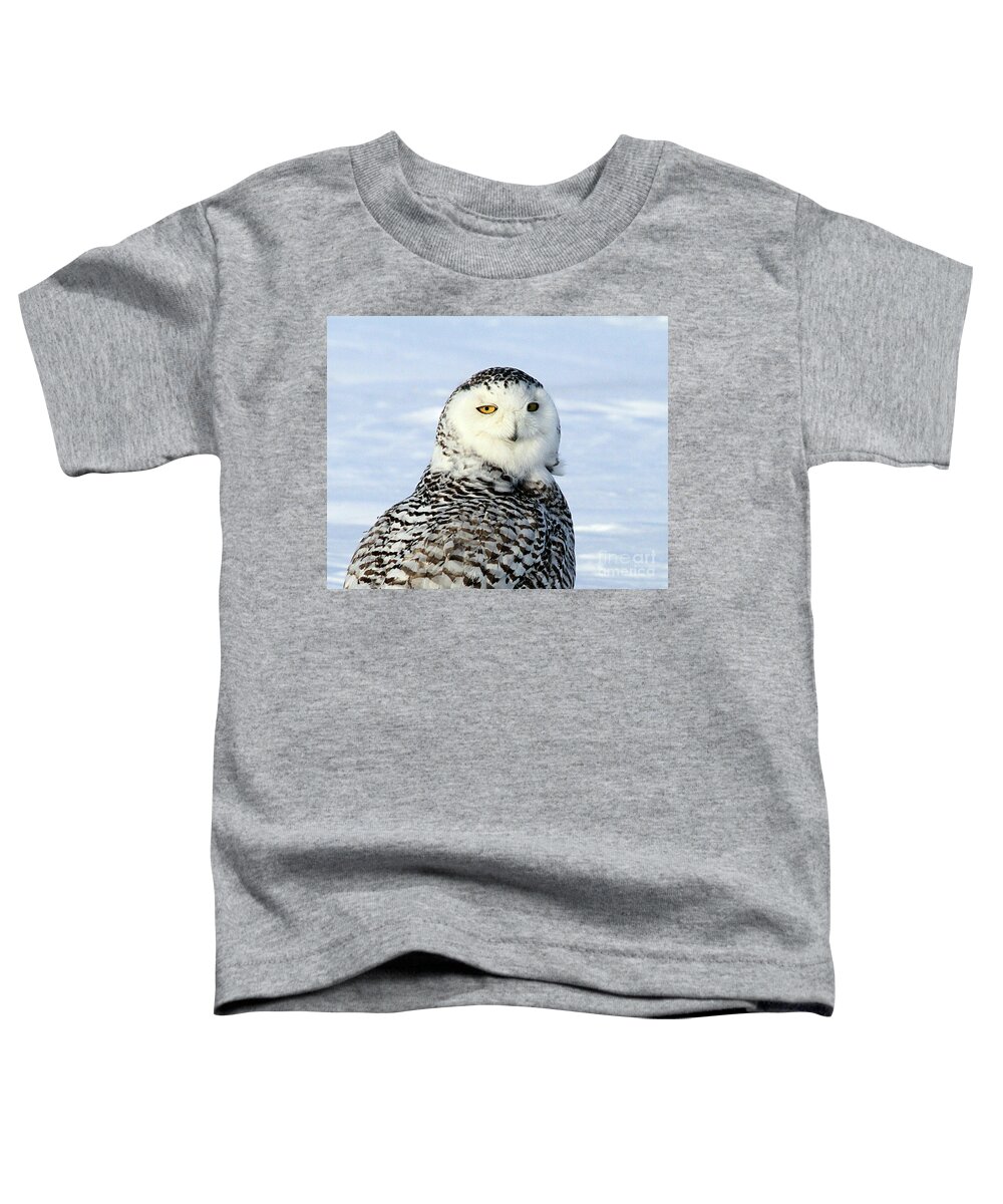 Owl Toddler T-Shirt featuring the photograph Female Snowy Owl by Paula Guttilla