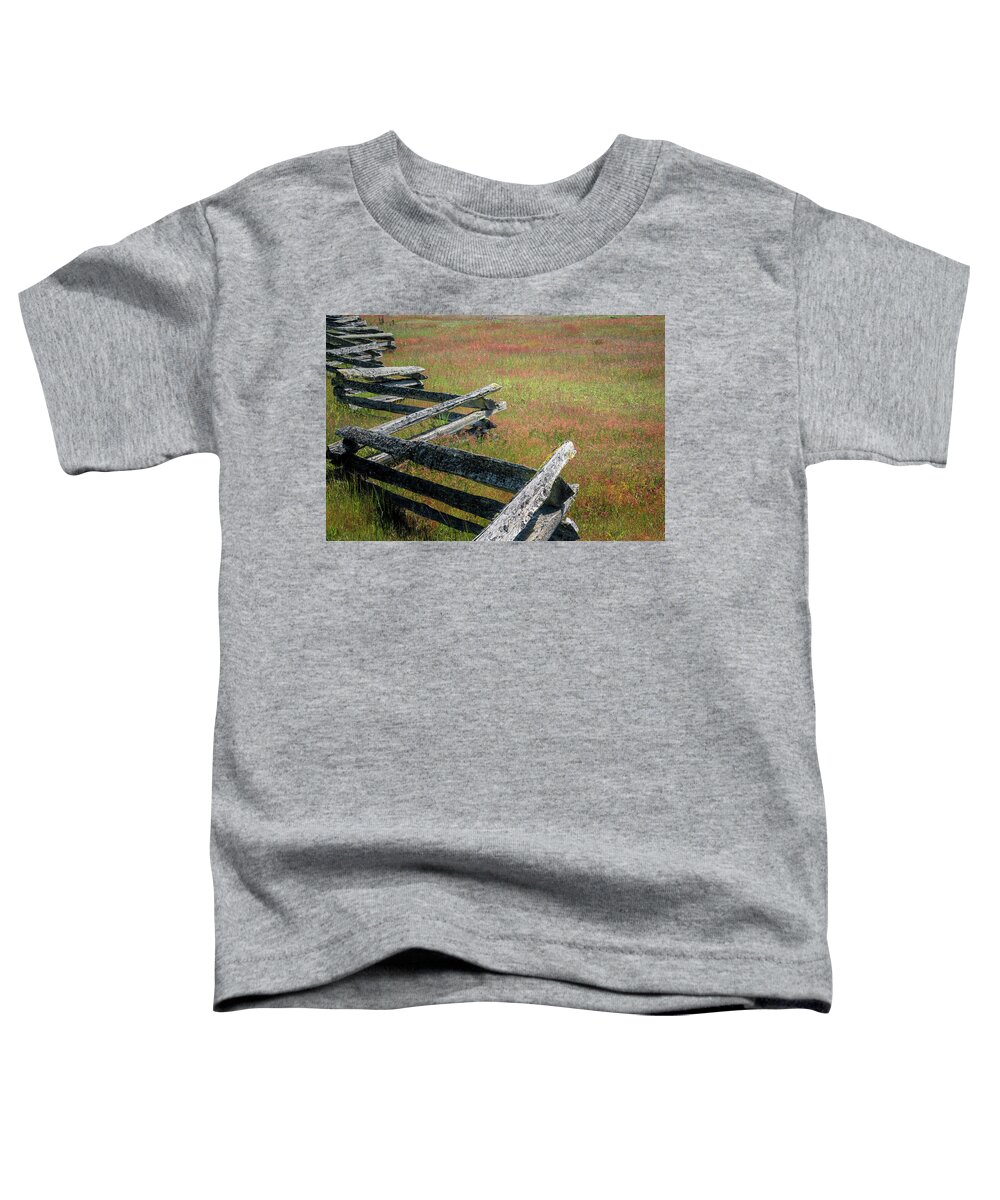 Oregon Coast Toddler T-Shirt featuring the photograph Fence And Field by Tom Singleton