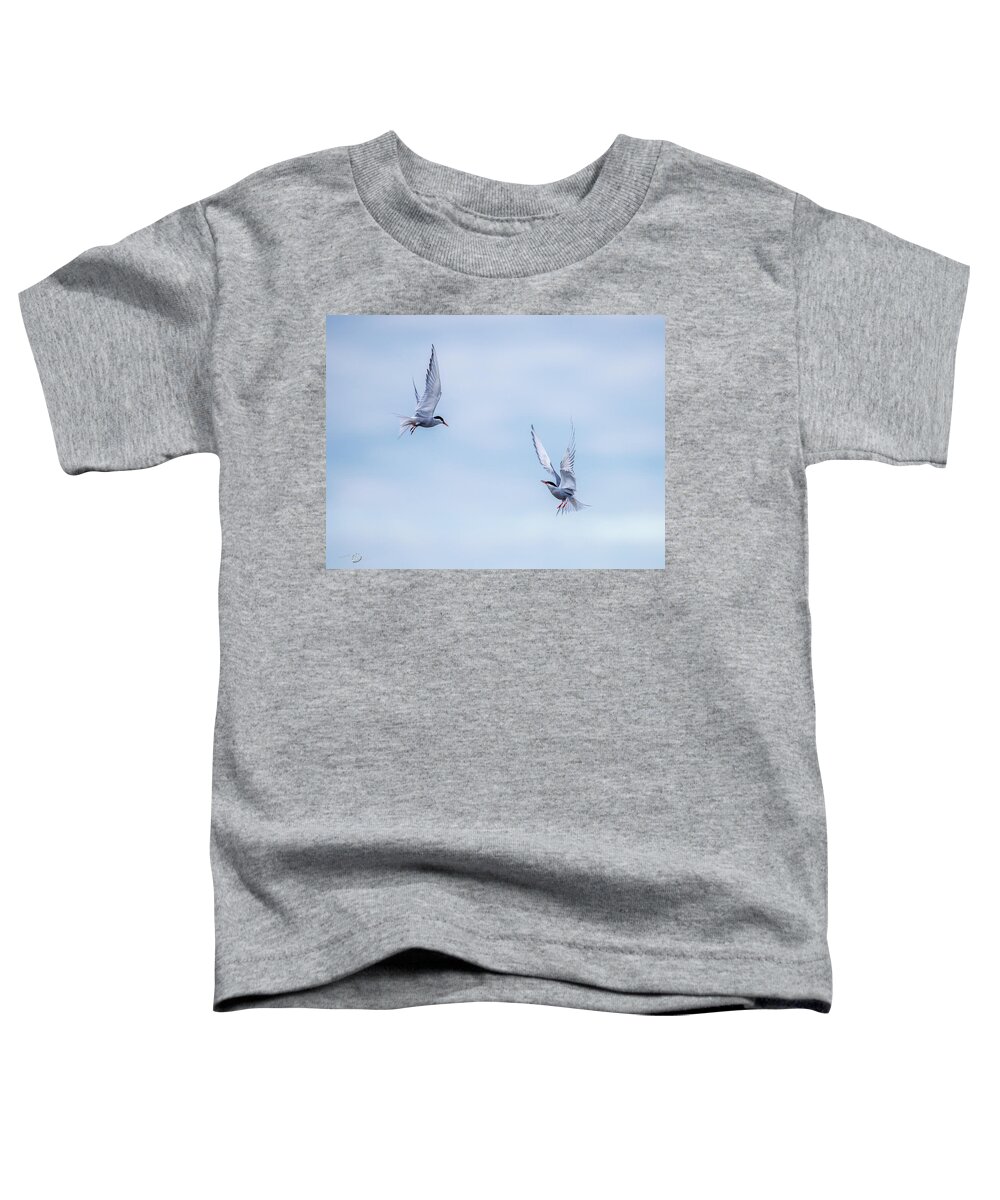 Fighting Terns Toddler T-Shirt featuring the photograph Fighting terns by Torbjorn Swenelius