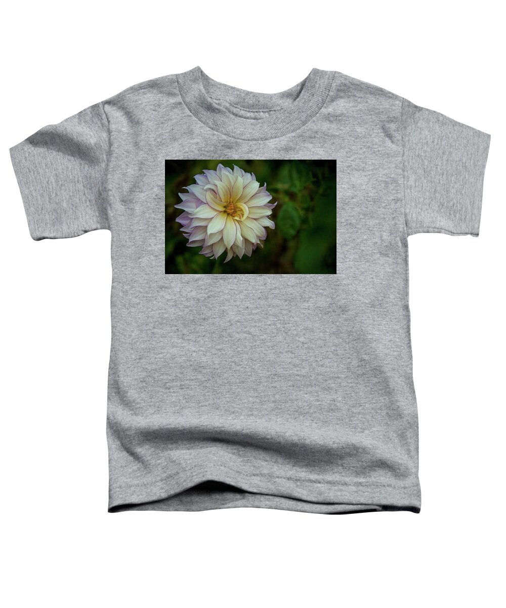 Flower Toddler T-Shirt featuring the photograph Face mask Filoli Zinnea by Patricia Dennis