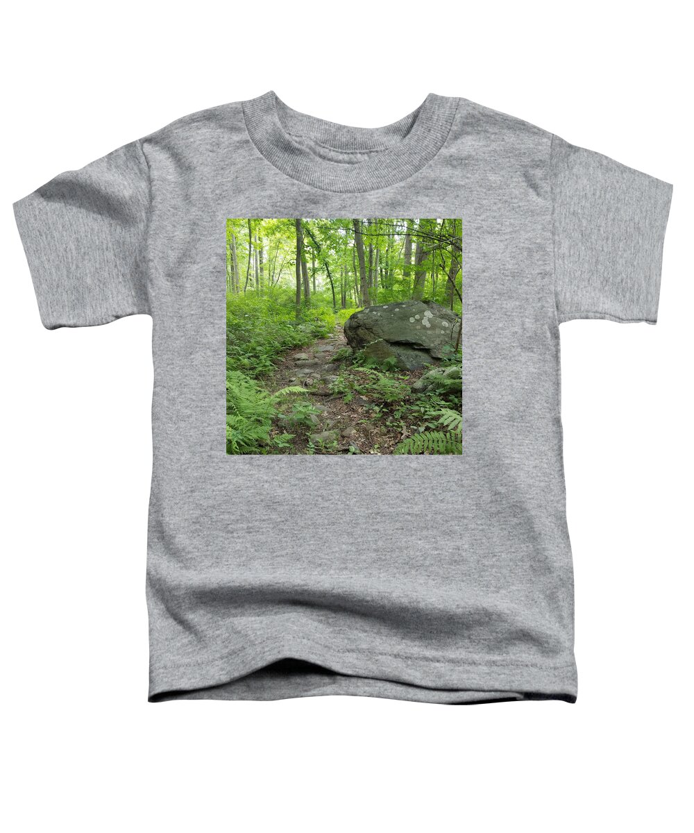 Path Toddler T-Shirt featuring the photograph Find Your Path by Vic Ritchey