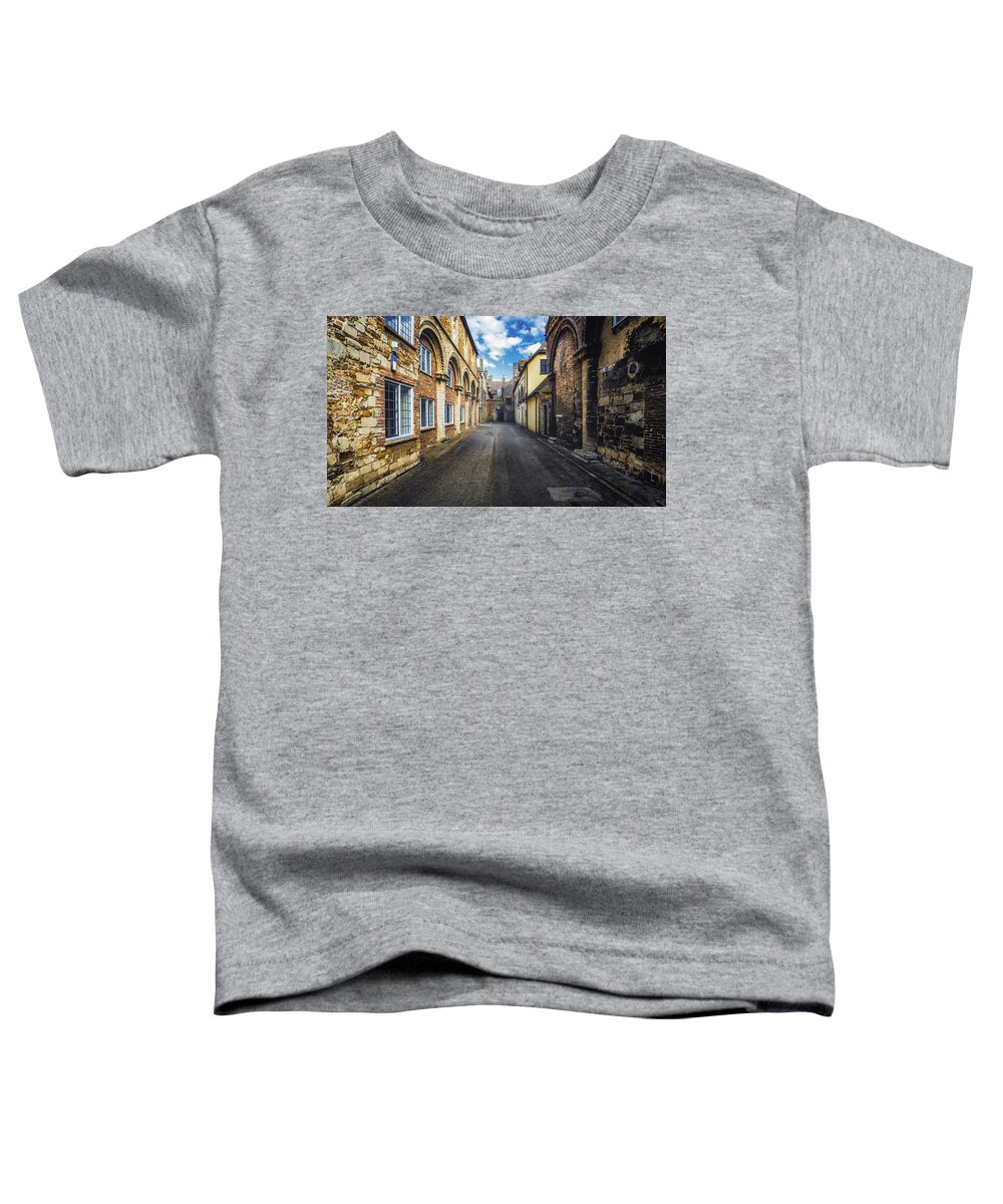 Ancient Toddler T-Shirt featuring the photograph Firmary Lane by James Billings