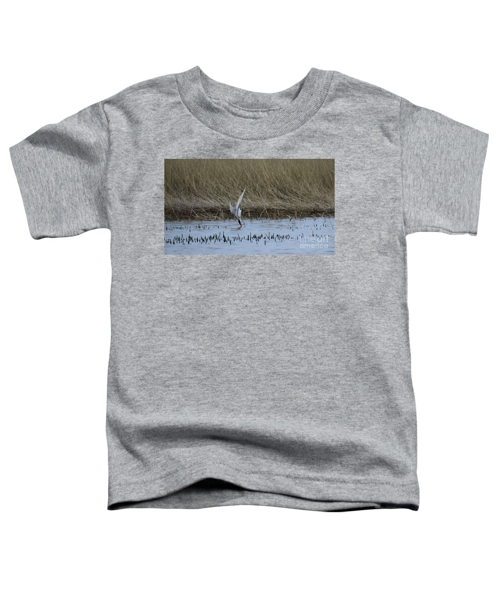 Tern Toddler T-Shirt featuring the photograph Fishing Tern by Erick Schmidt