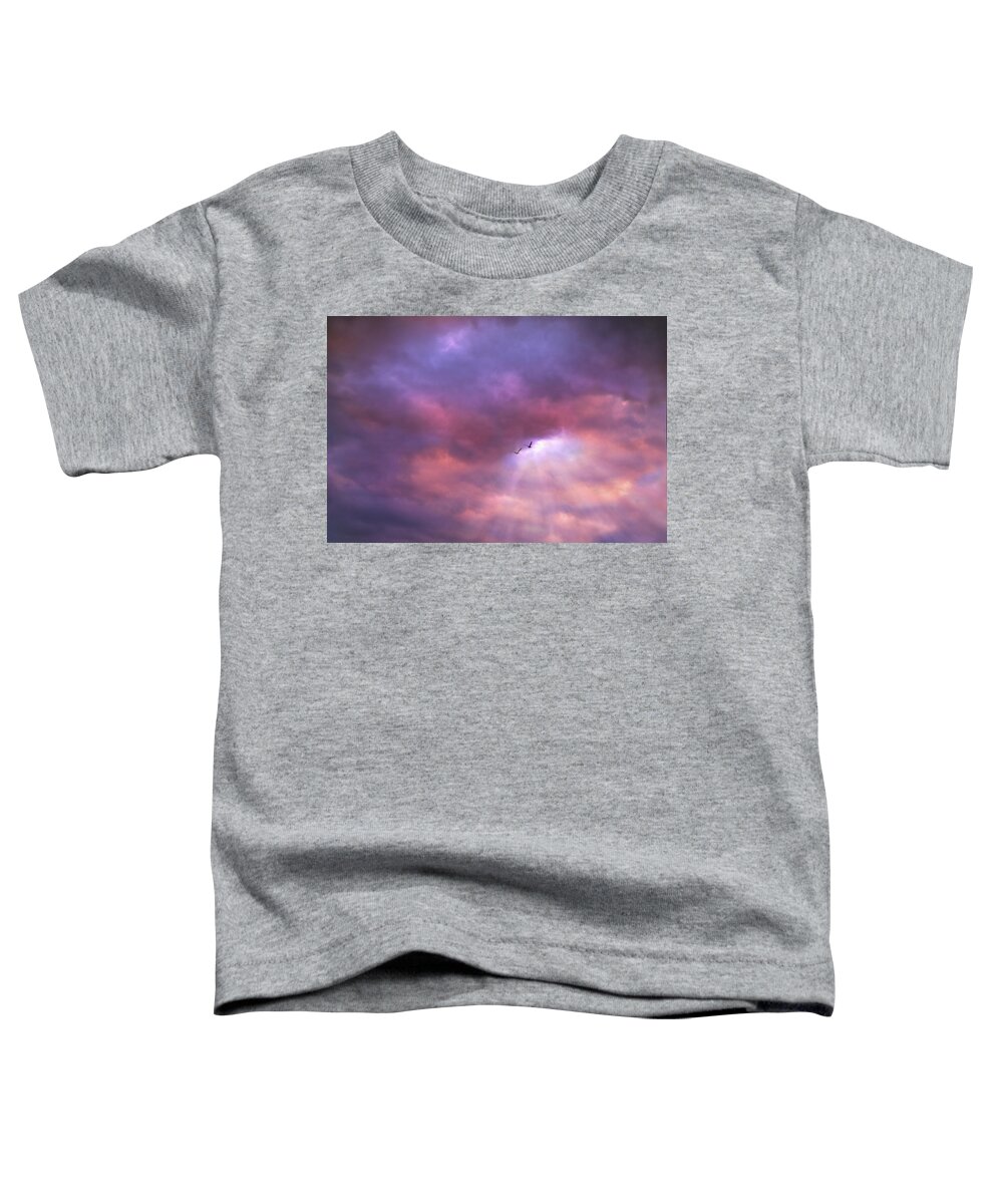 Minimalist Toddler T-Shirt featuring the photograph Flight before sunset by Lilia S