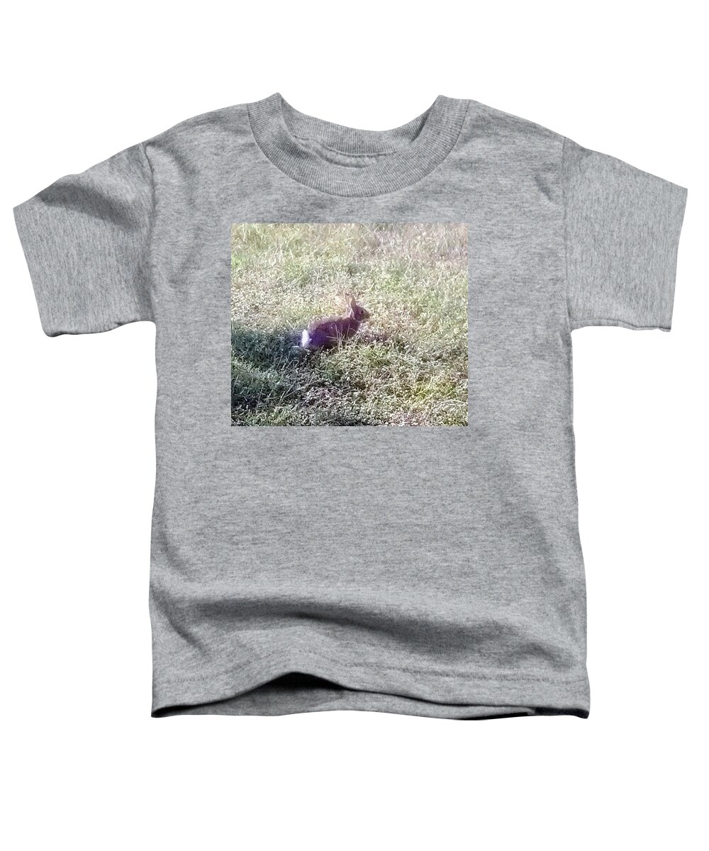 Rabbit. Bunny .wildlife Sanctuary Toddler T-Shirt featuring the photograph Floppy Our Local Bunny by Suzanne Berthier
