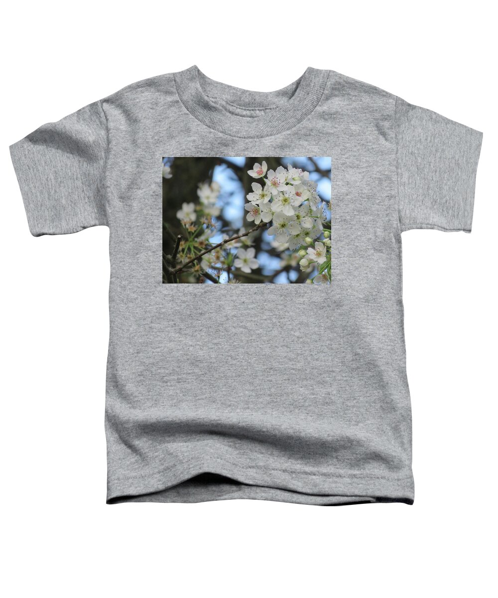 Flowering Plum Toddler T-Shirt featuring the photograph Flowering Plum by Judith Lauter