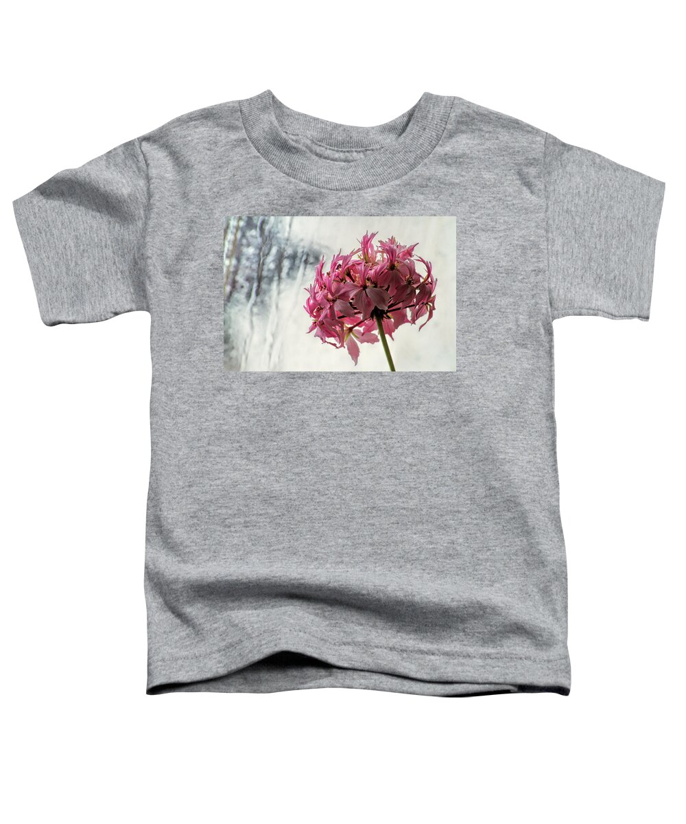 Flower Toddler T-Shirt featuring the photograph Flowers and Ice by Alana Thrower