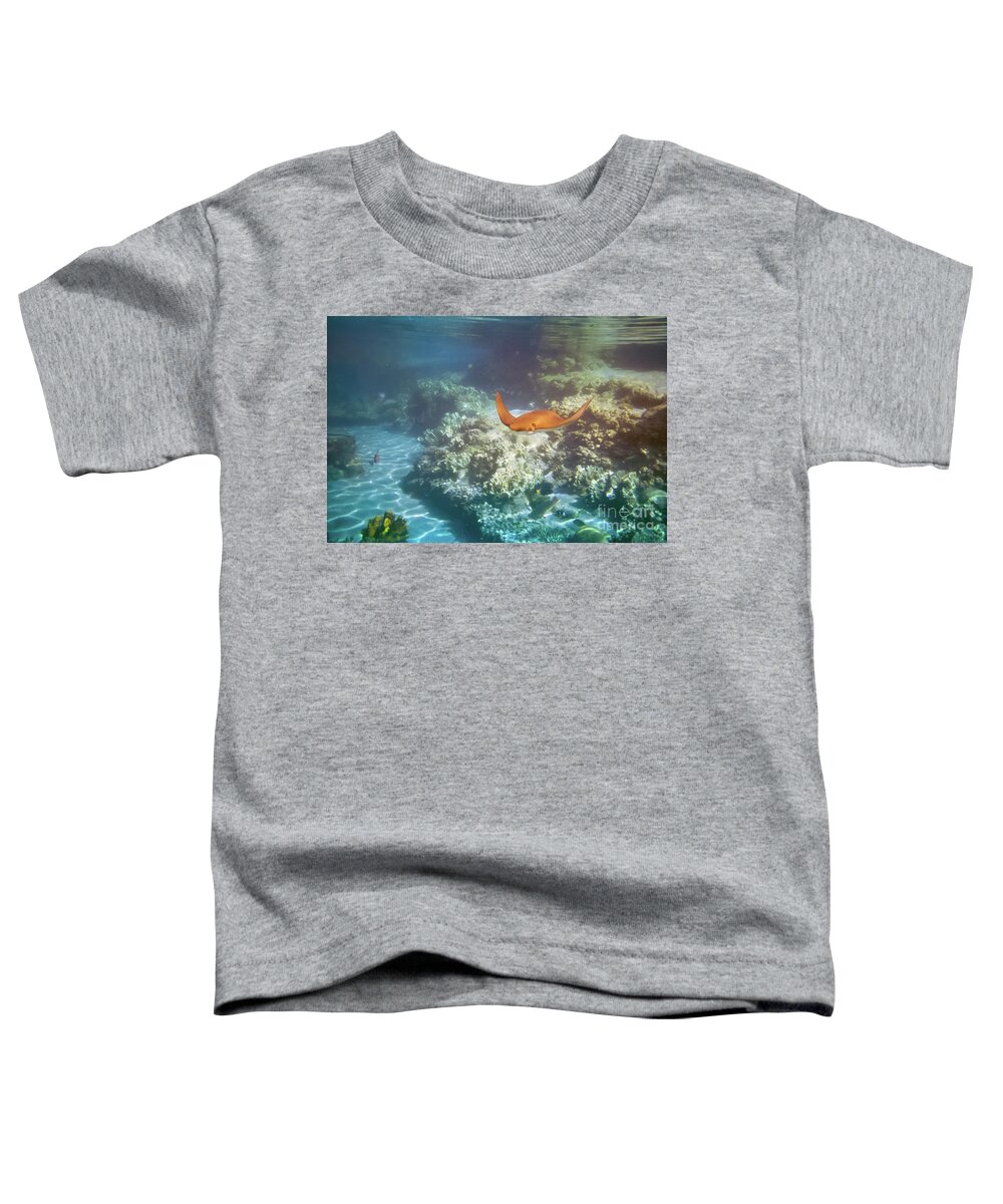 Fish Toddler T-Shirt featuring the photograph Flying Manta Ray by Kimberly Blom-Roemer