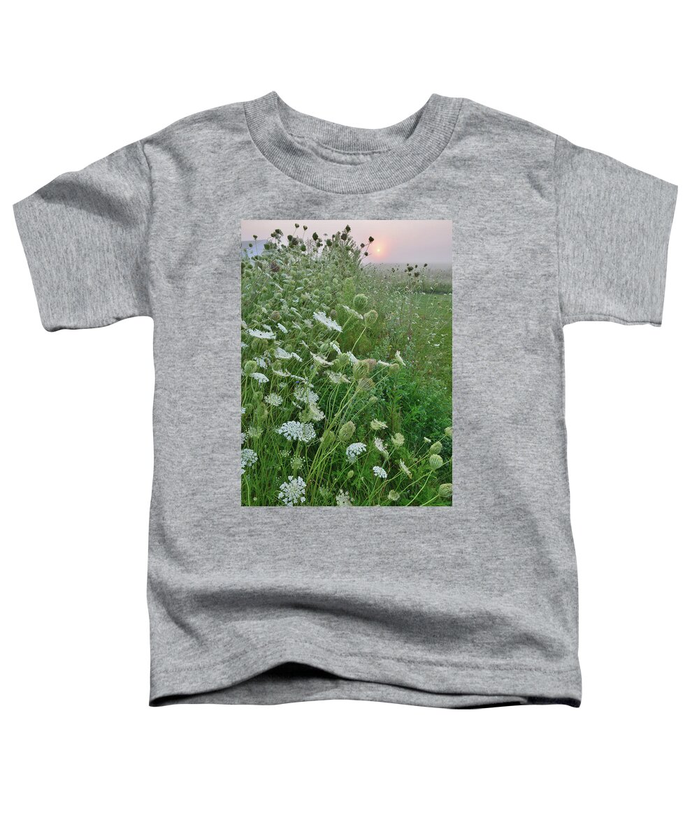 Mchenry County Conservation District Toddler T-Shirt featuring the photograph Foggy Glacial Park Sunrise by Ray Mathis
