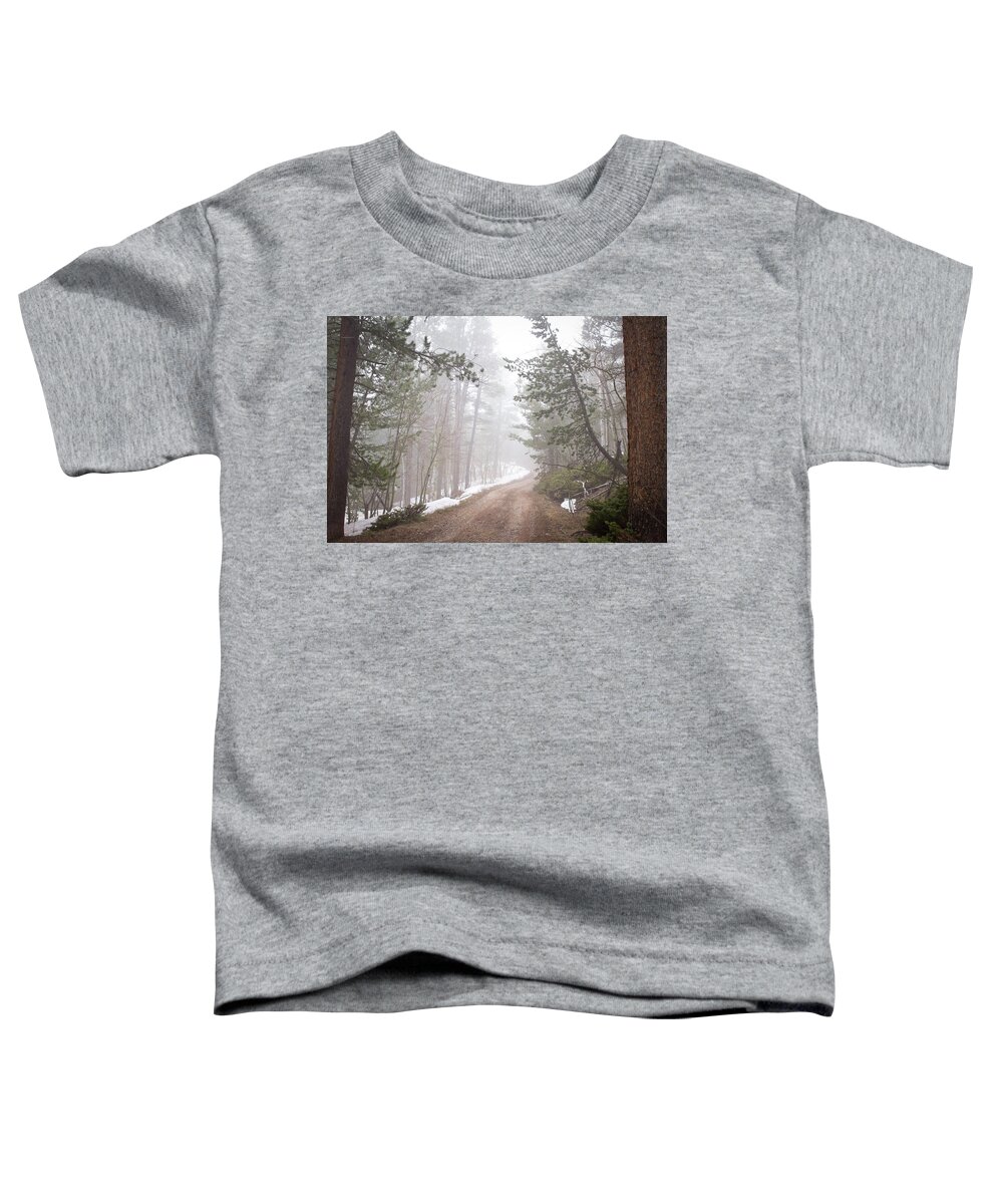 Fog Toddler T-Shirt featuring the photograph Foggy Path by Diane Mintle