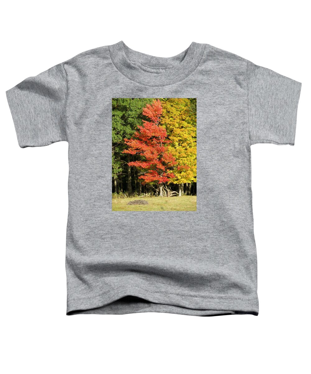 Trees Toddler T-Shirt featuring the photograph Forest Door by Azthet Photography