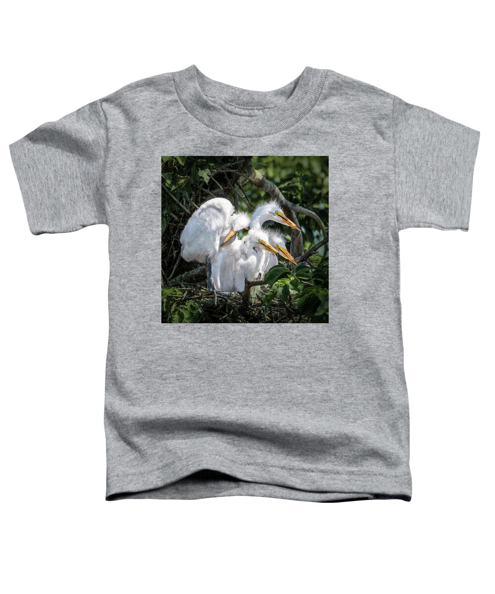 Birds Toddler T-Shirt featuring the photograph Four Egret Chicks in Nest by Patti Deters
