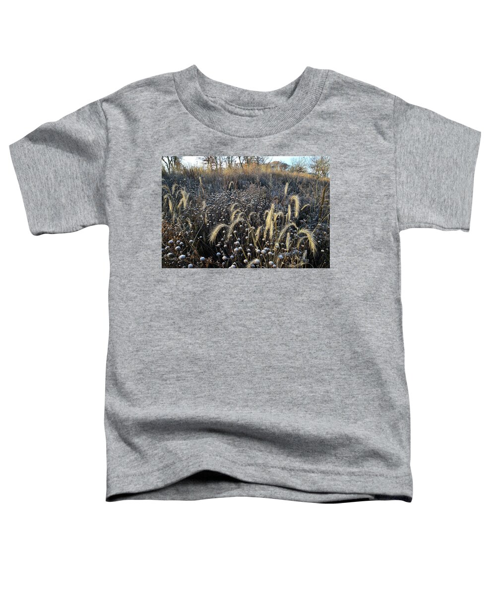 Glacial Park Toddler T-Shirt featuring the photograph Frosted Foxtail Grasses in Glacial Park by Ray Mathis