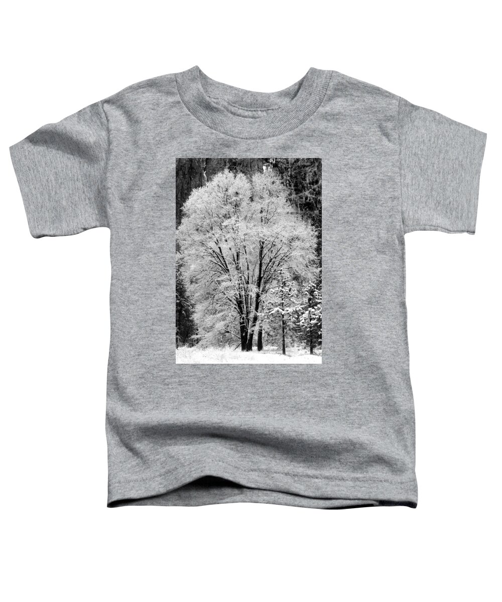 Tree Toddler T-Shirt featuring the photograph Frosted Tree Yosemite Valley by Lawrence Knutsson