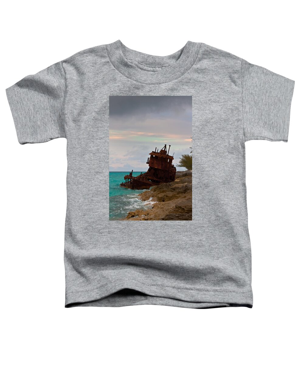 Aquamarine Toddler T-Shirt featuring the photograph Gallant Lady Aground by Ed Gleichman