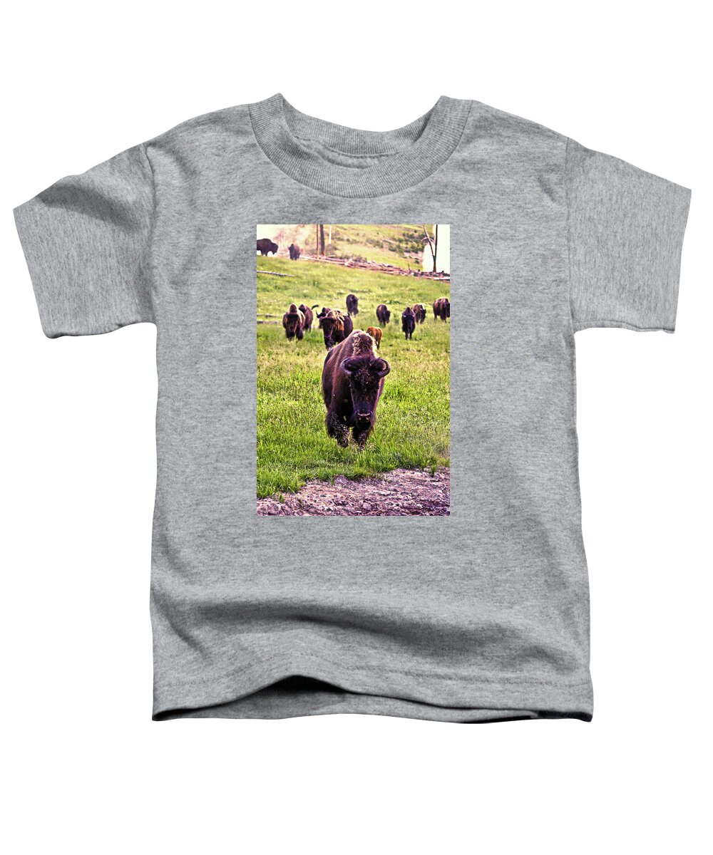 Buffalo Toddler T-Shirt featuring the photograph Gang of Buffalo by La Dolce Vita