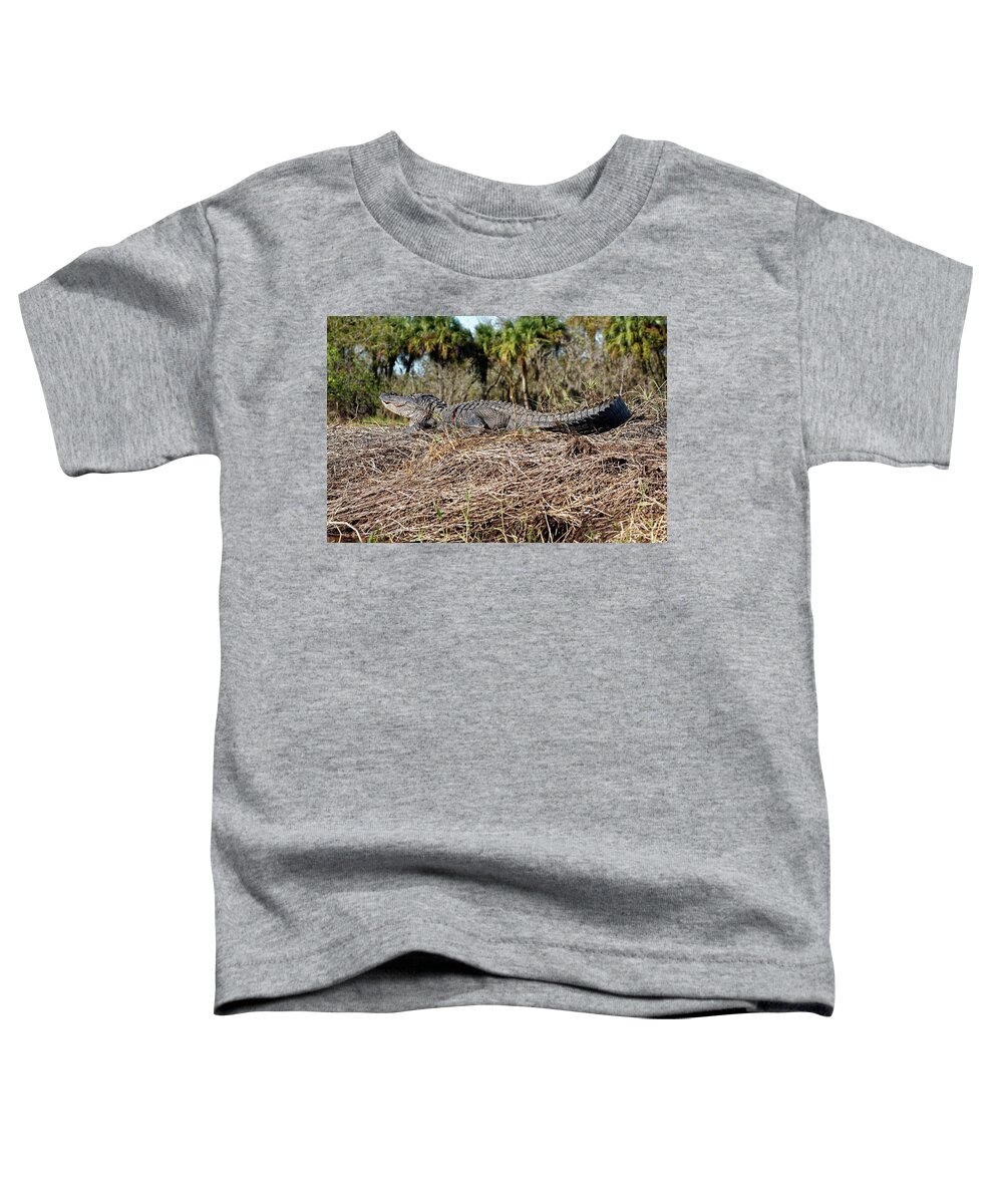 American Alligator Sunning Toddler T-Shirt featuring the photograph Gator Sunning by Sally Weigand