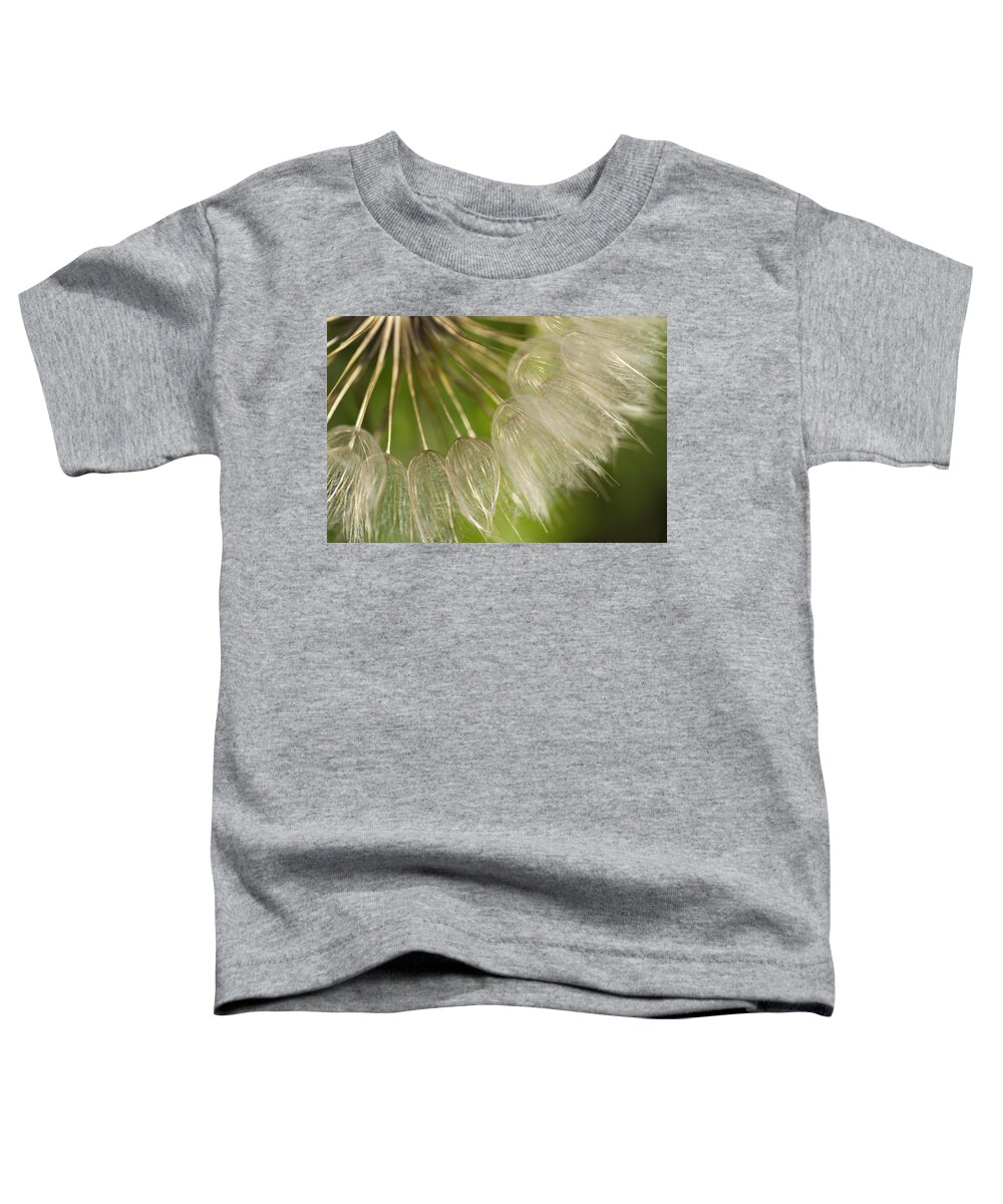 Tragopogon Pratensis Toddler T-Shirt featuring the photograph Goats Beard Wildflower Seedhead by Kathy Clark