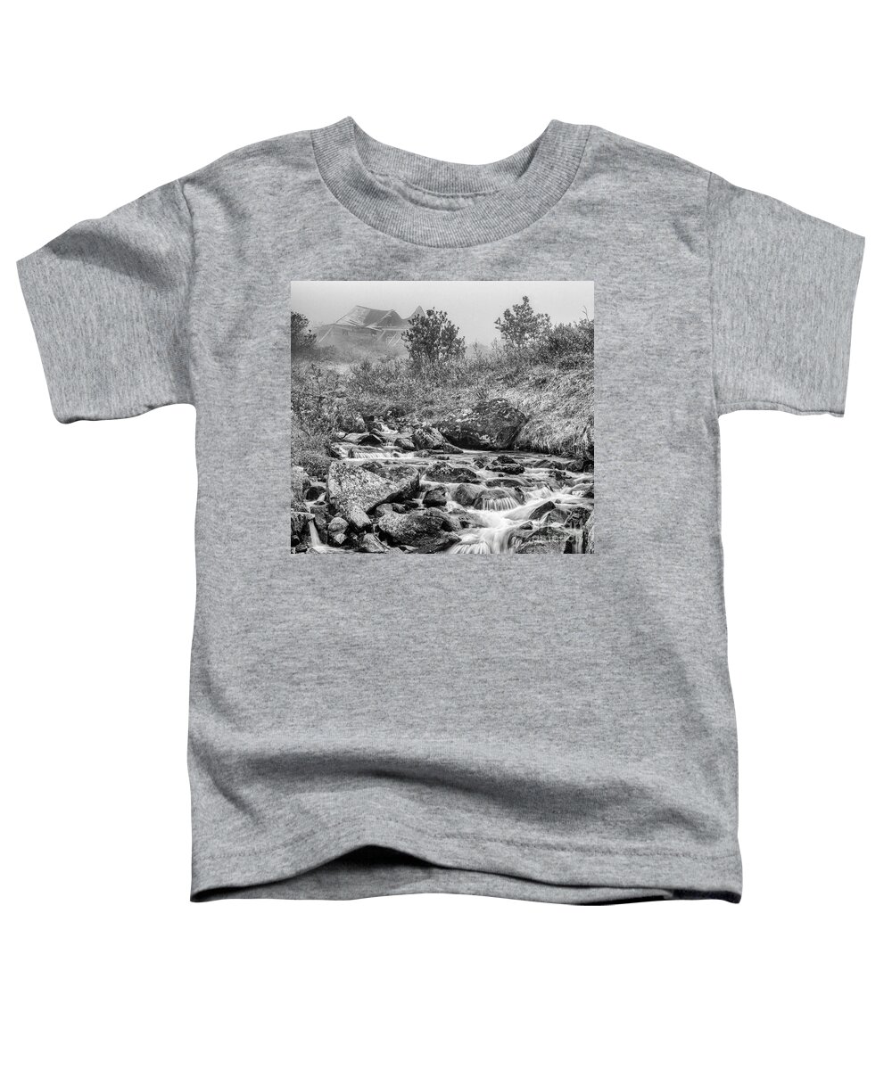 Gold Rush Toddler T-Shirt featuring the photograph Gold Rush mining shack in the Alaskan Mountains by Paul Quinn