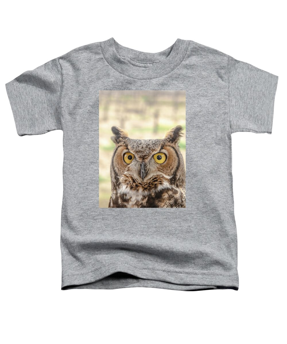 Owl Toddler T-Shirt featuring the photograph Golden Eyes by Jim DeLillo