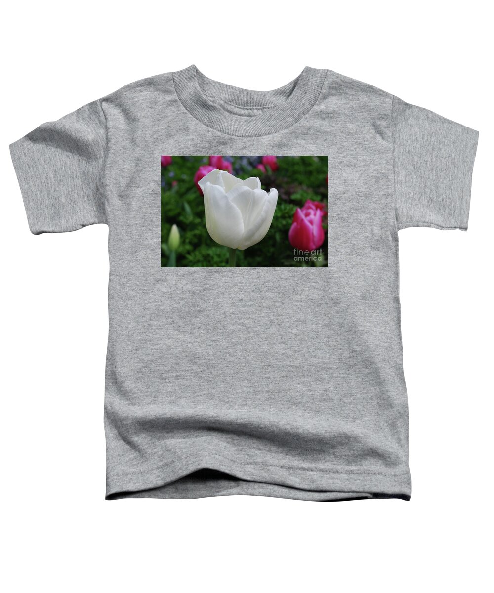 Tulip Toddler T-Shirt featuring the photograph Gorgeous Flowering White Tulip Flower Blossom by DejaVu Designs