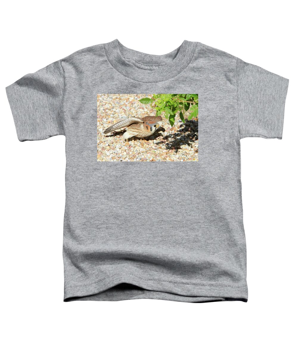 Kestrel Toddler T-Shirt featuring the photograph Gotcha by Shoal Hollingsworth